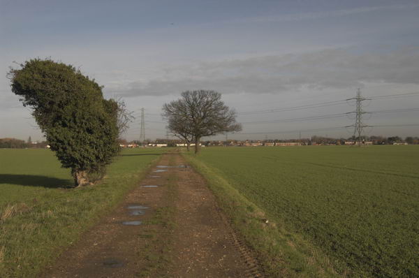 Picture © Peter Marshall, 2004