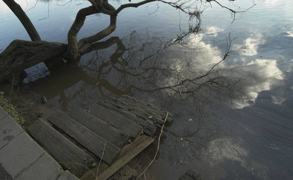 Picture © Peter Marshall, 2004