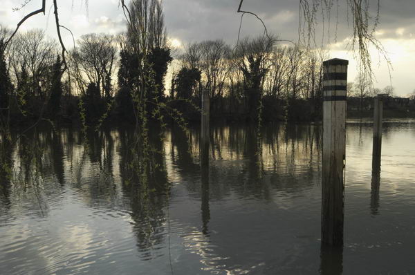 Picture © Peter Marshall, 2004