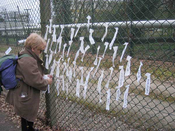 Picture &copy; Peter Marshall, 2004