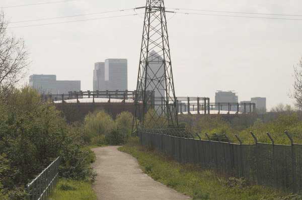 Picture © Peter Marshall, 2004