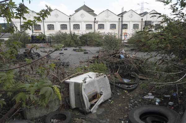 Picture © Peter Marshall, 2004