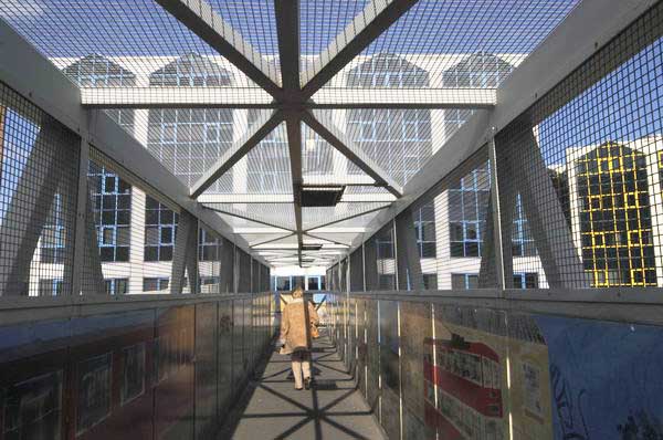 Picture © Peter Marshall, 2004