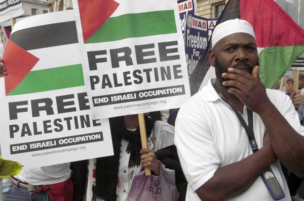 Picture © Peter Marshall, 2004