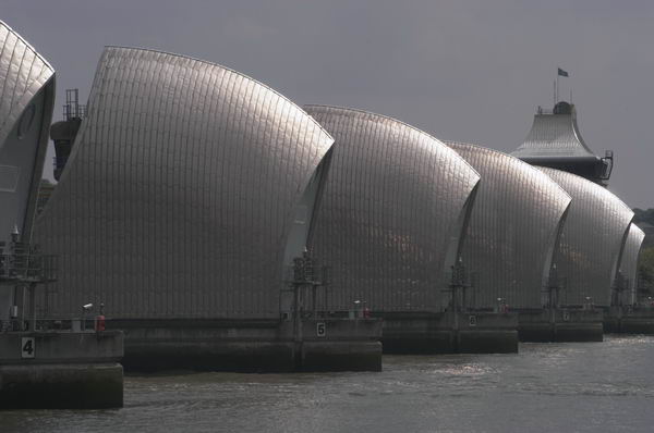 Picture © Peter Marshall, 2004