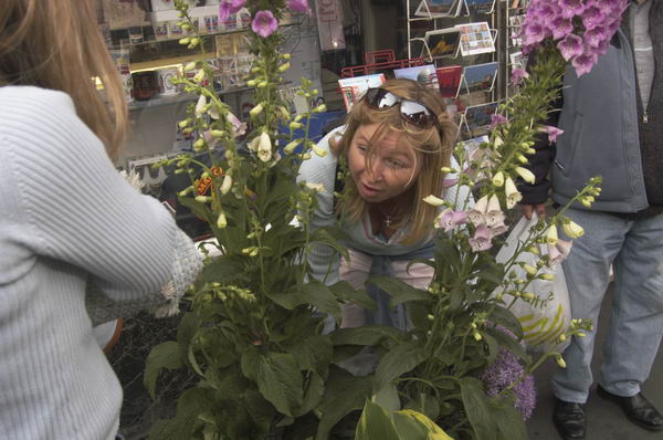 Picture © Peter Marshall, 2004