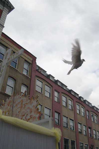 Picture © Peter Marshall, 2004