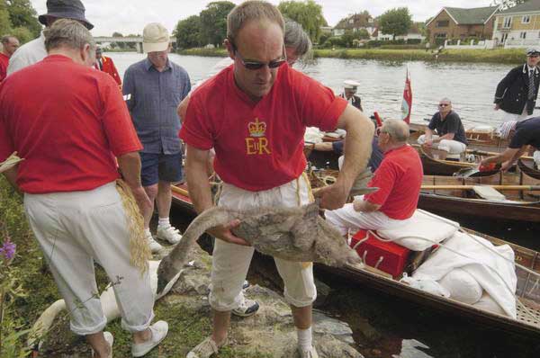 Picture © Peter Marshall, 2004