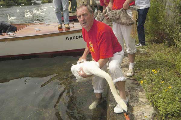 Picture © Peter Marshall, 2004