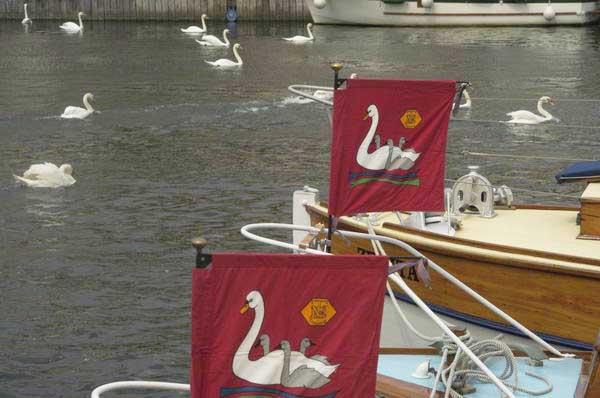 Picture © Peter Marshall, 2004