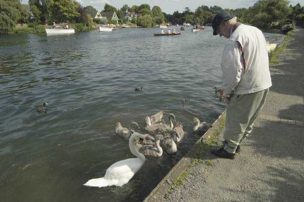 Picture © Peter Marshall, 2004