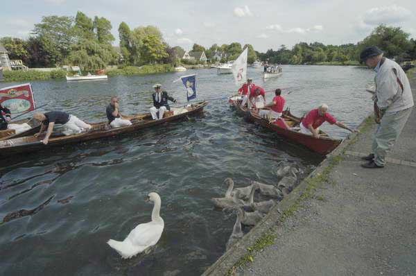 Picture © Peter Marshall, 2004