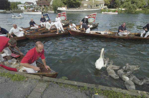 Picture © Peter Marshall, 2004