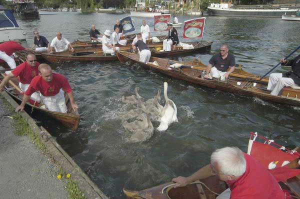 Picture © Peter Marshall, 2004