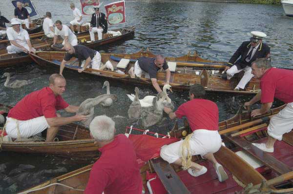 Picture © Peter Marshall, 2004