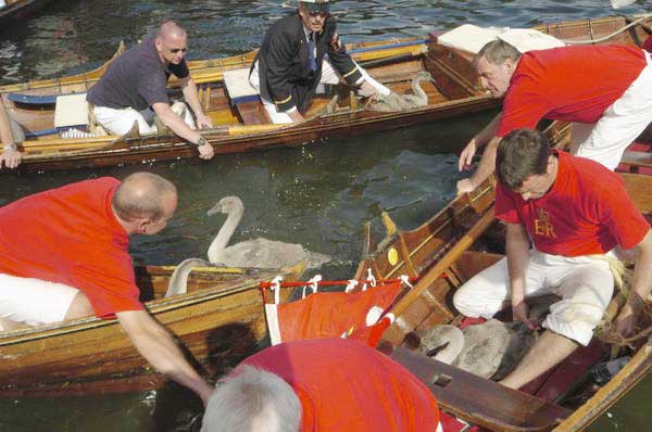 Picture © Peter Marshall, 2004