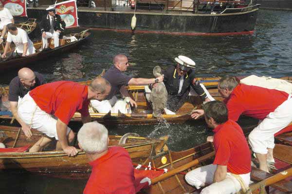 Picture © Peter Marshall, 2004