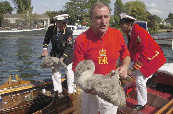 Picture © Peter Marshall, 2004