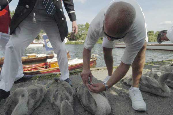 Picture © Peter Marshall, 2004