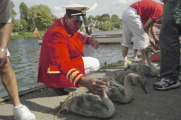 Picture © Peter Marshall, 2004