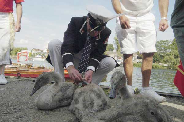 Picture © Peter Marshall, 2004