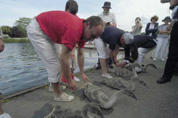 Picture © Peter Marshall, 2004