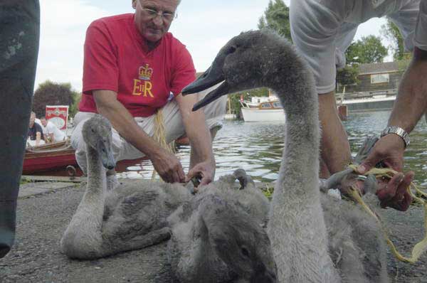 Picture © Peter Marshall, 2004