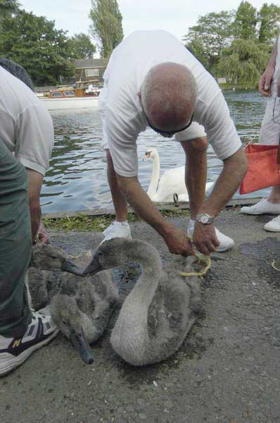 Picture © Peter Marshall, 2004