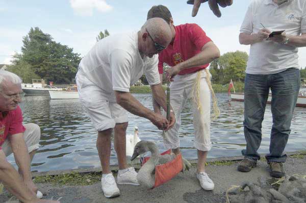 Picture © Peter Marshall, 2004