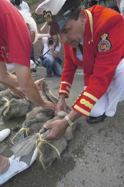 Picture © Peter Marshall, 2004