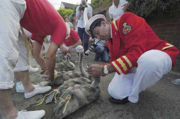 Picture © Peter Marshall, 2004