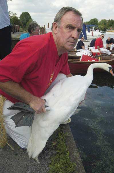 Picture © Peter Marshall, 2004