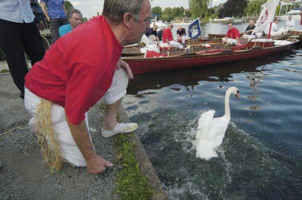 Picture © Peter Marshall, 2004