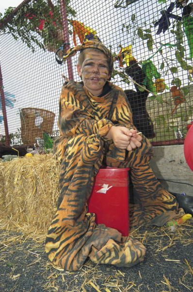 Picture © Peter Marshall, 2004