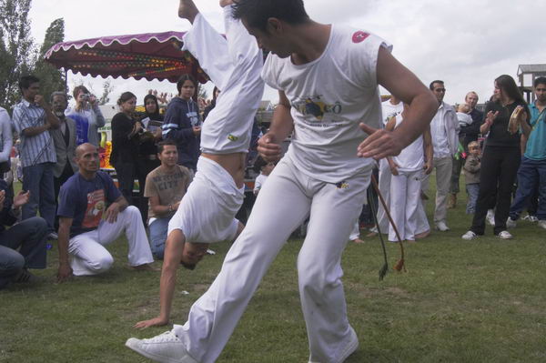 Picture © Peter Marshall, 2004