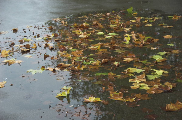 © 2005, Peter Marshall