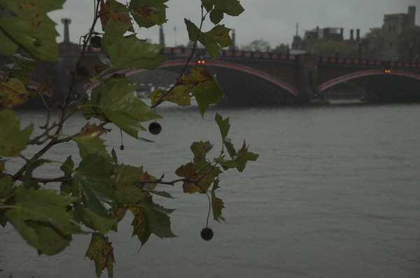 © 2005, Peter Marshall