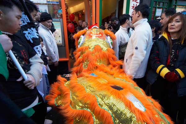 Chinese New Year of the Dog