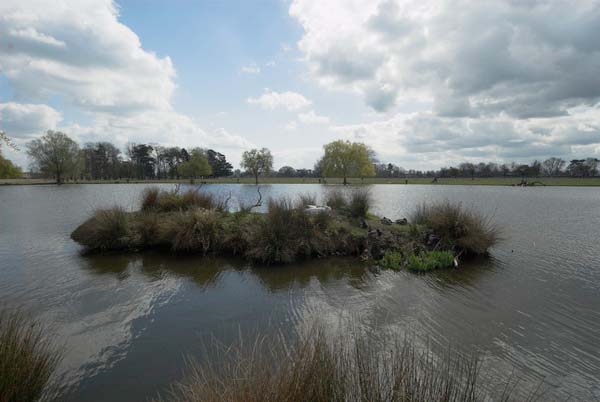 Bushey Park ©2006, Peter Marshall