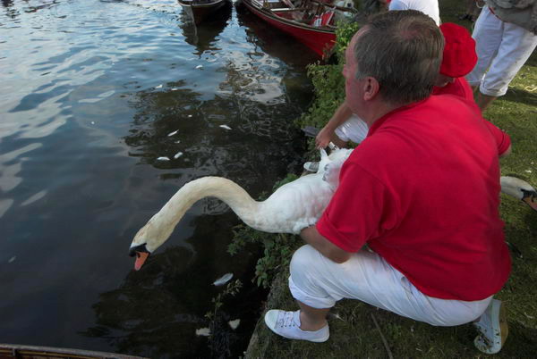 Swan Upping &copy; 2006, Peter Marshall