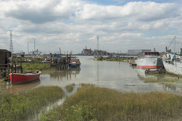 Greenhithe + Swanscombe Marshes © 2006, Peter Marshall