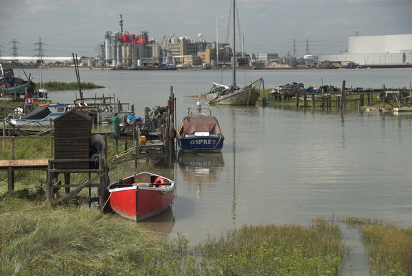 Greenhithe + Swanscombe Marshes © 2006, Peter Marshall