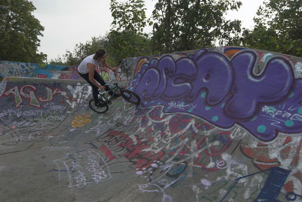 Tottenham to Walthamstow © Peter Marshall, 2006