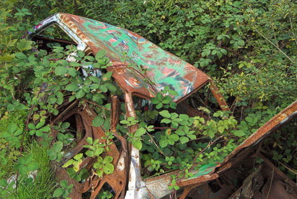 Tottenham to Walthamstow © Peter Marshall, 2006