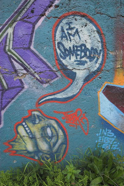 Tottenham to Walthamstow © Peter Marshall, 2006