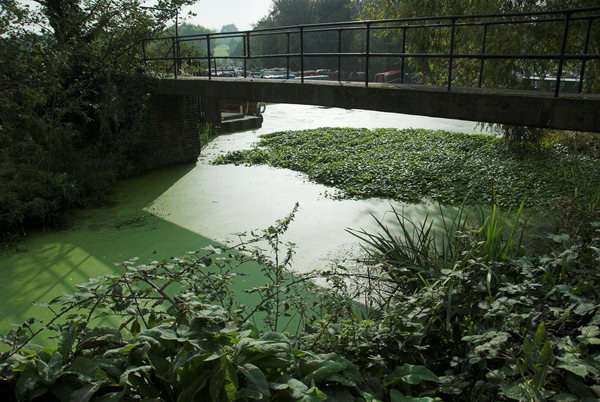 Tottenham to Walthamstow © Peter Marshall, 2006