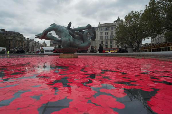 Poppies in the Fountains © Peter Marshall, 2006