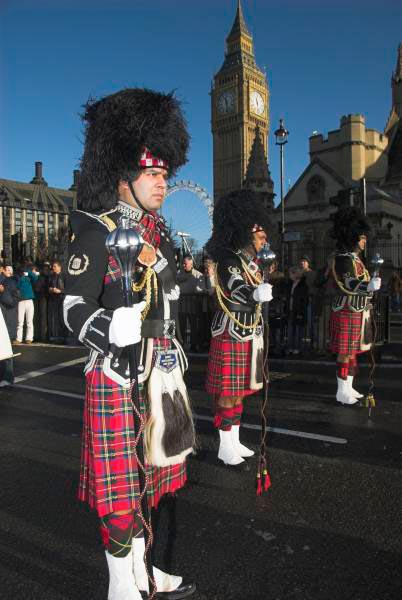 London New Year's Parade © Peter Marshall, 2007