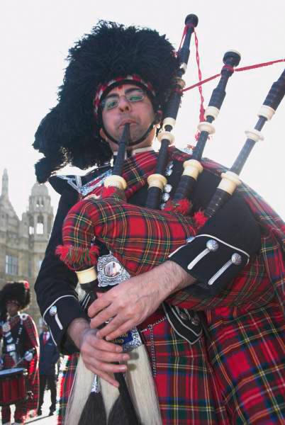 London New Year's Parade © Peter Marshall, 2007