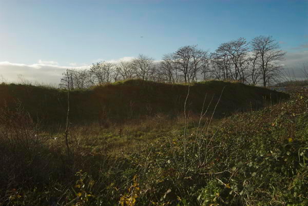 London Olympics 2012 site © Peter Marshall, 2007